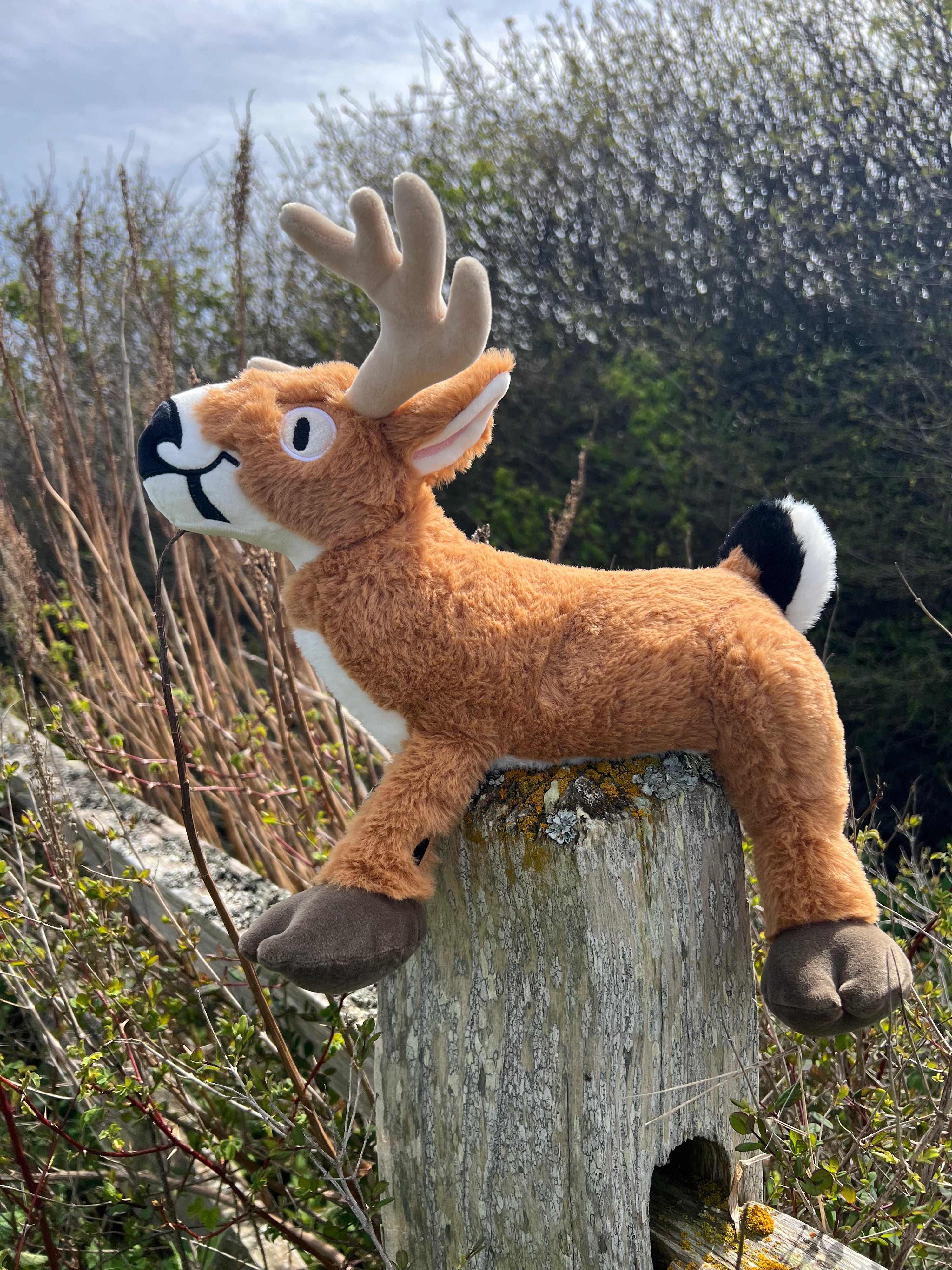 Weighted Deer